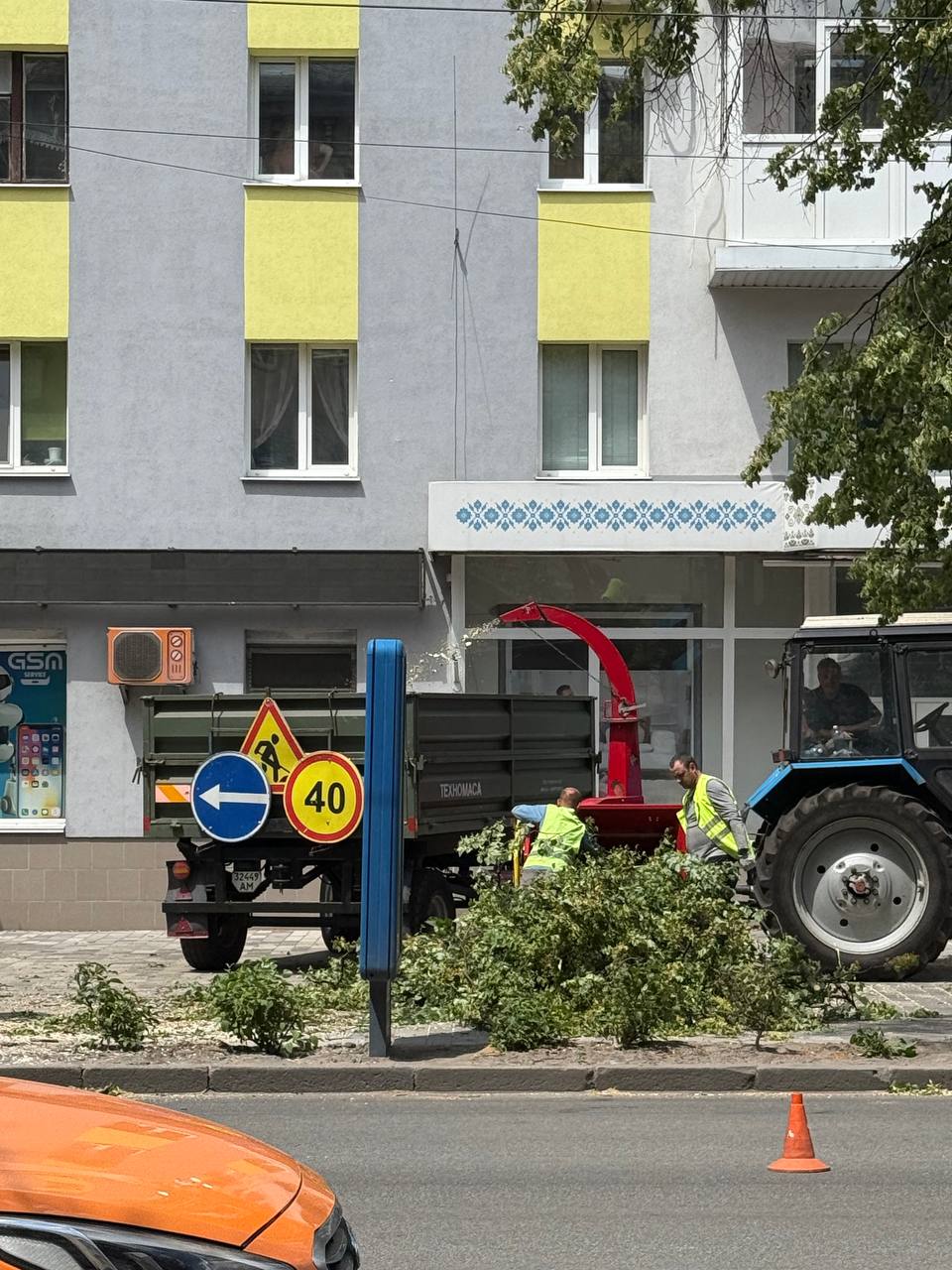 «Деревний» скандал розгорівся у Житомирі: активісти вимагають раціональності у вирубці дерев